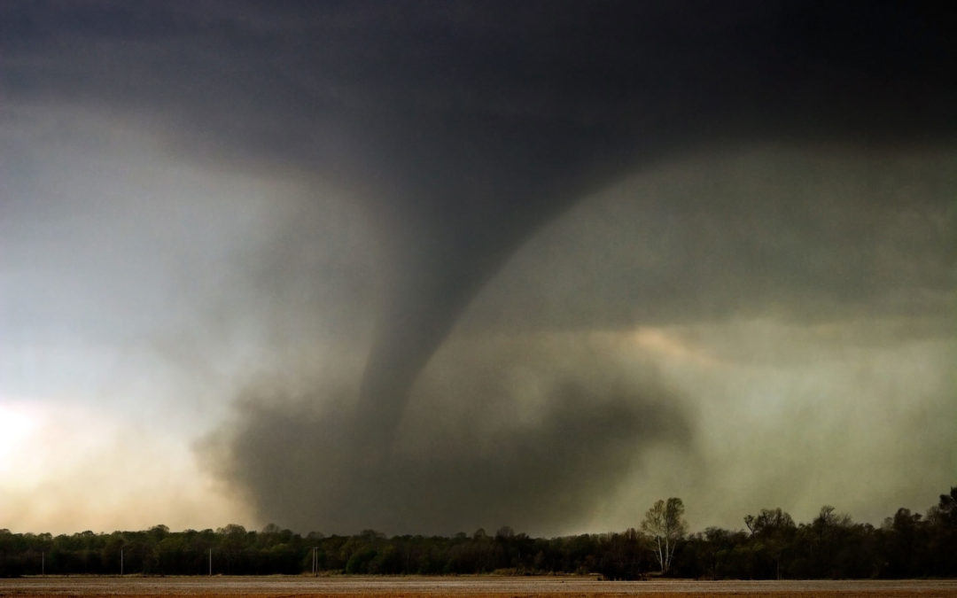 Learn how to put together for a twister: 5 tricks to keep protected within the storm.
