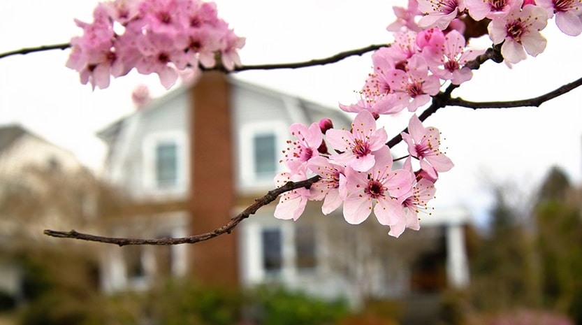 13 methods to get your property prepared for spring.