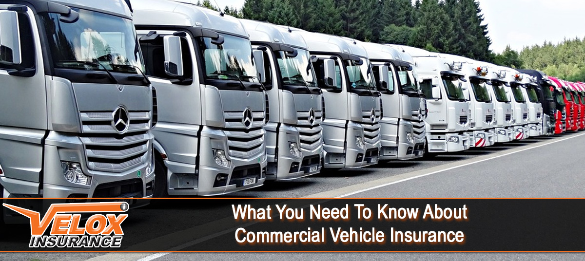 What You Want To Know About Business Car Insurance coverage