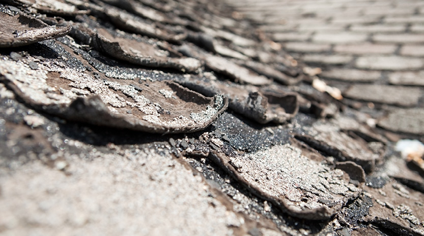 Does your roof need to be repaired or replaced?