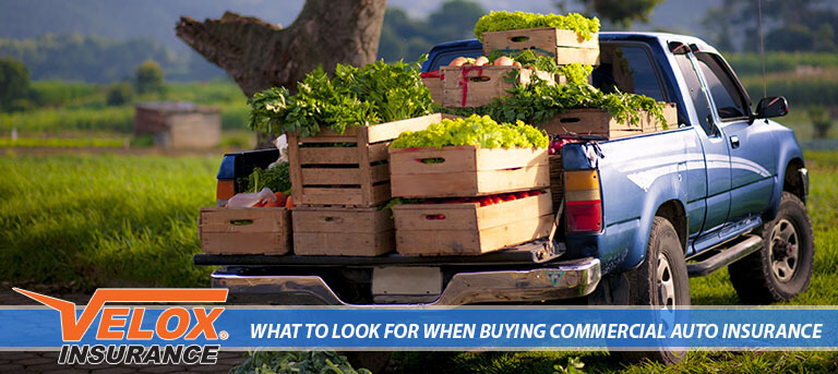 What Ought to I Look For When Shopping for Business Auto Insurance coverage?