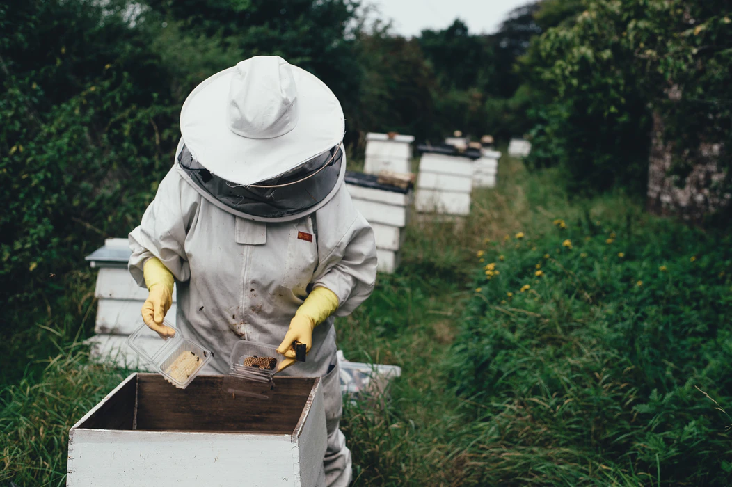 Is Beekeeping Covered by My Homeowners Insurance?